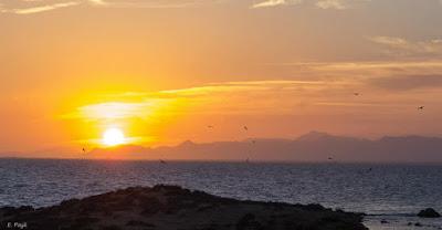 Playas