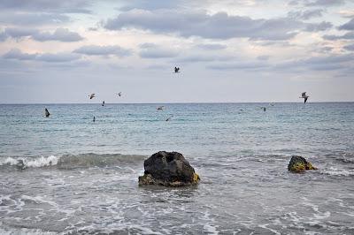 Playas