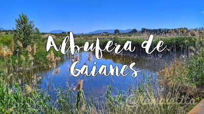Albufera Gaianes Albufera Gaianes