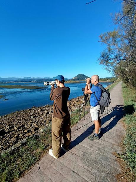 BIRDING O PAJAREO