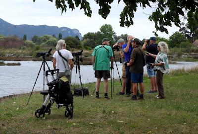 BIRDING O PAJAREO