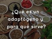 ¿Qué adaptógeno para sirve?