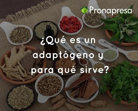 ¿Qué es un adaptógeno y para qué sirve?