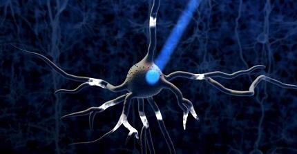 La optogenética holográfica: una puerta a la programación del cerebro