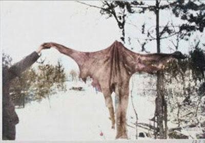 La Misteriosa masacre de Ivalo