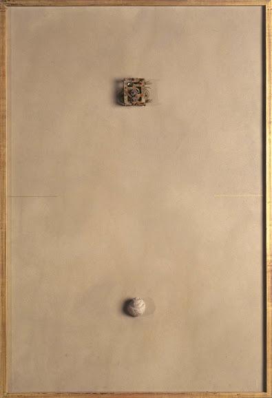 Los fósiles del Reina Sofía