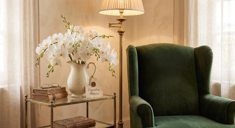 Hogar Cálido: Cómo Combinar Muebles Clásicos, Retro y Botánica 7