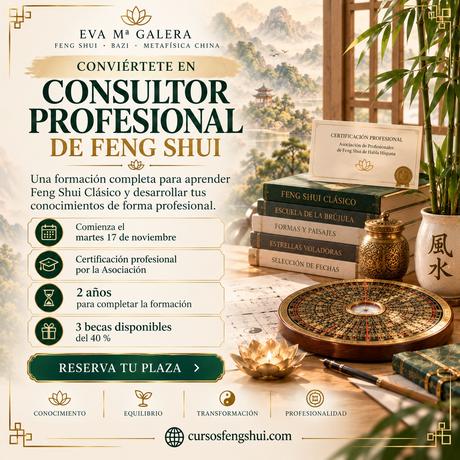 ✨ ¿Cuál será tu próxima formación?