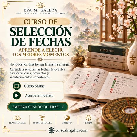 ✨ ¿Cuál será tu próxima formación?