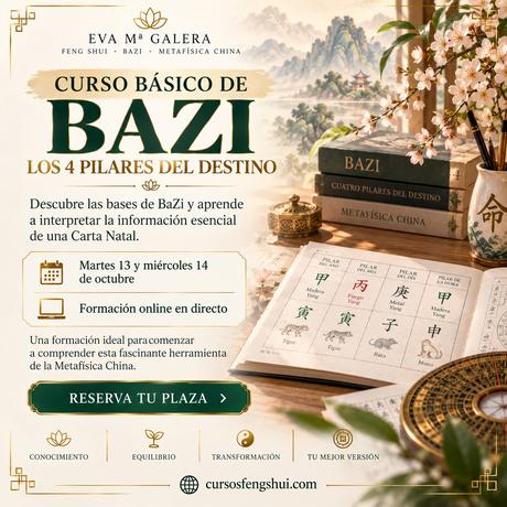 ✨ ¿Cuál será tu próxima formación?