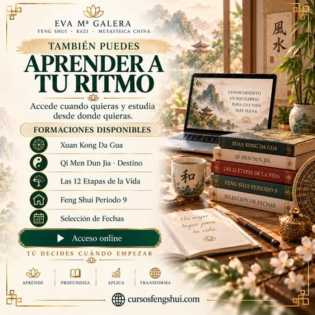 ✨ ¿Cuál será tu próxima formación?