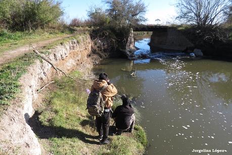 Lobos (julio 2026) Lobos (julio 2026)