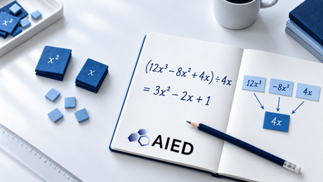 Algebraic Division Monomial Algebraic Division Monomial