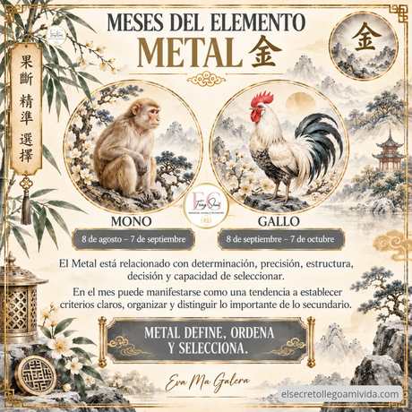 🌿 ¿Sabes qué elemento representa tu mes de nacimiento en BaZi?