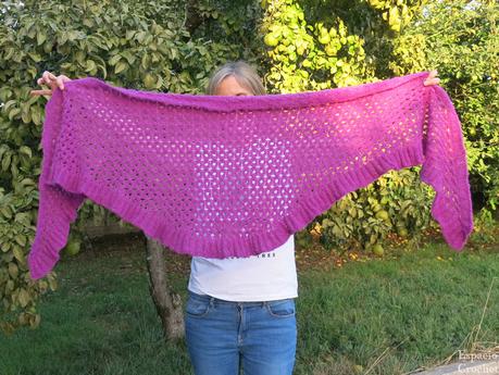 Clonación de amigurumis