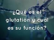 ¿Qué glutatión cuál función?