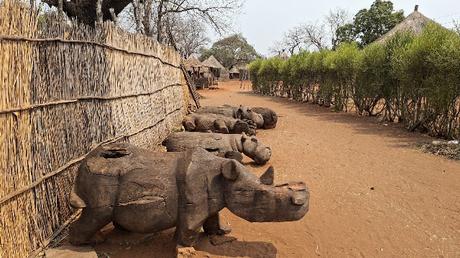 ZAMBIA : EL POBLADO MUKUMi ZAMBIA : EL POBLADO MUKUMi