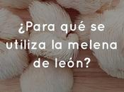 ¿Para utiliza melena león?