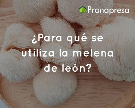 ¿Para qué se utiliza la melena de león?