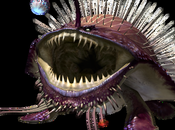Recordando Monster Hunter