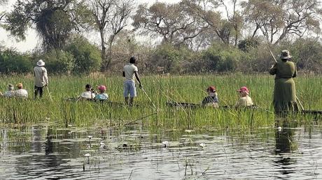BOTSUANA : EL DELTA DEL OKAVANGO