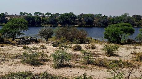 BOTSUANA :  EL PARQUE NACIONAL MAKGADIKGADI PANS