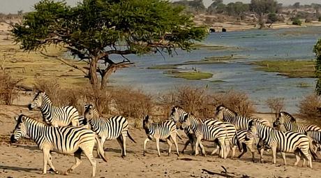 BOTSUANA :  EL PARQUE NACIONAL MAKGADIKGADI PANS