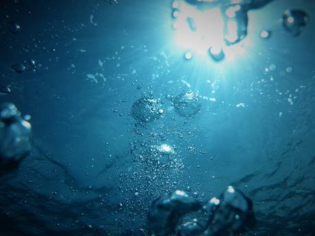 El océano que respira: cómo los mares producen gran parte del oxígeno que respiramos