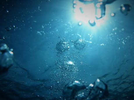 El océano que respira: cómo los mares producen gran parte del oxígeno que respiramos