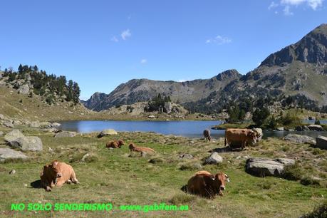 Senderismo en La Val d'Aran