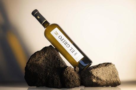 Cuatro vinos para catar este otoño