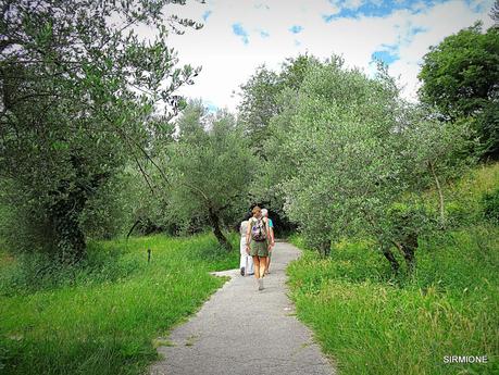 Passeggiata lungo-lago Est