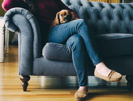 Mujer sentada en un sillón, con unos mocasines y un perrito sentado en su regazo
