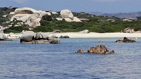 CÓRCEGA : LAS ISLAS LAVEZZI