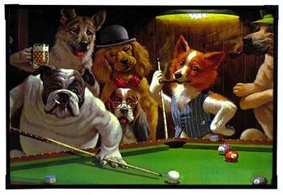 Como jugar con el perro