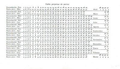 El celo en las perras (continuación)