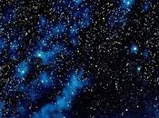 followed tigers were killed (2003) much summer (2004)