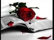 Sant Jordi, rosa, libro matrimonio