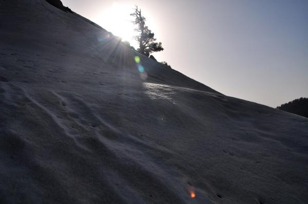 Trekking a Triund