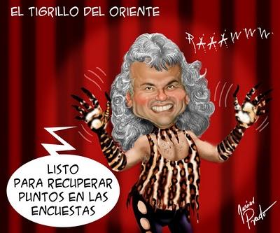 El tigrillo del Oriente, buena tío !!!