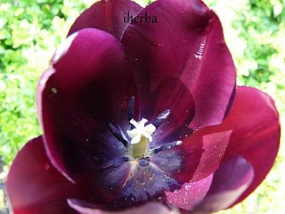 Un regalo para la vista