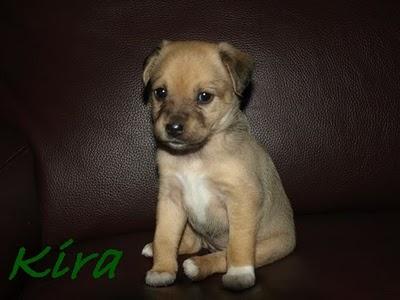 BIENVENIDA A CASA KIRA