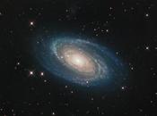 ¿Qué esconde M81?