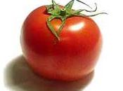 historia tomate