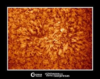 Sol libre de manchas