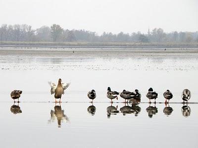 El autocuidado como alternativa El autocuidado como alternativa
