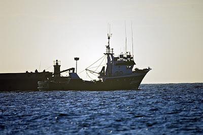 Explorando Cantabria