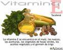 La Vitamina E mejora la Esteatohepatitis