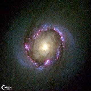 El mayor atlas de anillos nucleares galácticos