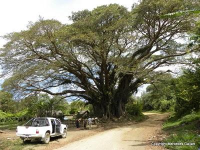 VANUATU: BAJO EL VOLCAN YASUR EN LA ISLA DE TANNA